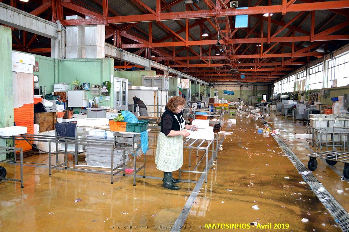 0564 Porto Matosinhos.jpg
